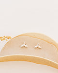 Pendientes Dana